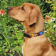 Load image into Gallery viewer, Medium breed (wide) beaded leather Dog Collars - Neck size 15"-17" (38-44cm)  1" (3cm) wide - Click to select colour Scott's of London