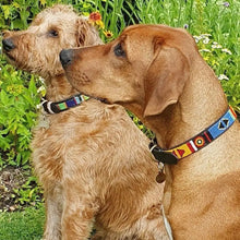 Load image into Gallery viewer, Small breed (long) beaded leather Dog Collars - Neck size 12"-14" (30-36cm) 3/4" (2cm) wide - Click to select colour Scott's of London