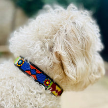 Load image into Gallery viewer, Medium breed (wide) beaded leather Dog Collars - Neck size 15"-17" (38-44cm)  1" (3cm) wide - Click to select colour Scott's of London