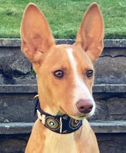Load image into Gallery viewer, Whippet beaded leather Dog Collars - Neck size 11"-13" (28-34cm) 2" (5cm) wide - Click to select colour Scott's of London