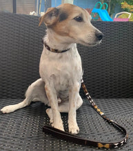 Load image into Gallery viewer, Medium &amp; Large breed beaded leather Dog Leads - 3/4" (2cm) wide - 44" (112cm) Long - Click to select colour (price inclusive of VAT)